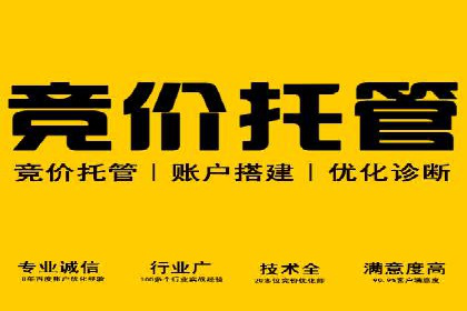 专业SEM托管如何助力电商行业增长？——案例分析